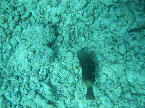 marsa_christoph_04