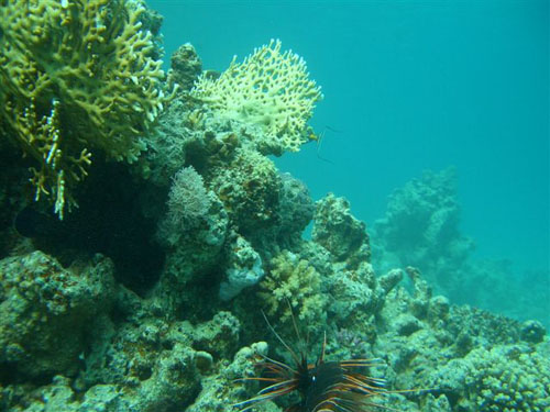 marsa_christoph_05