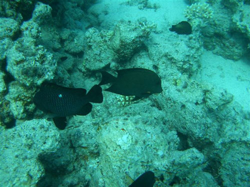 marsa_christoph_06