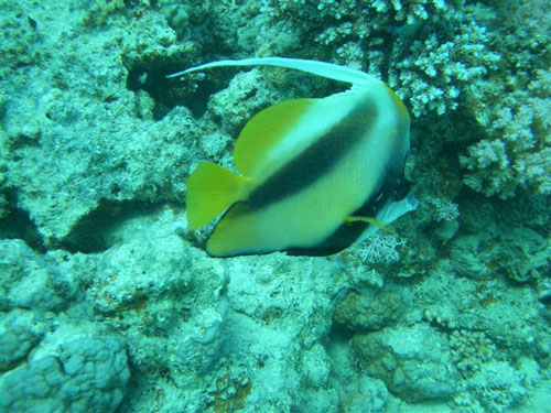marsa_christoph_07