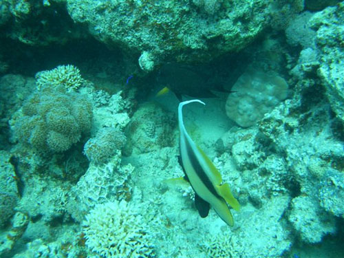 marsa_christoph_08