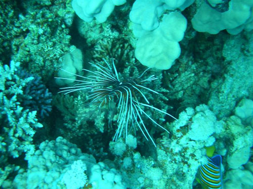 marsa_christoph_10