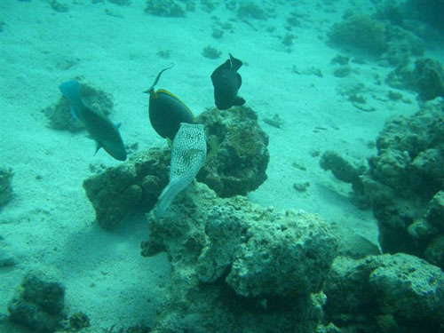 marsa_christoph_11