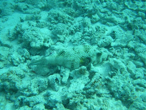 marsa_christoph_13