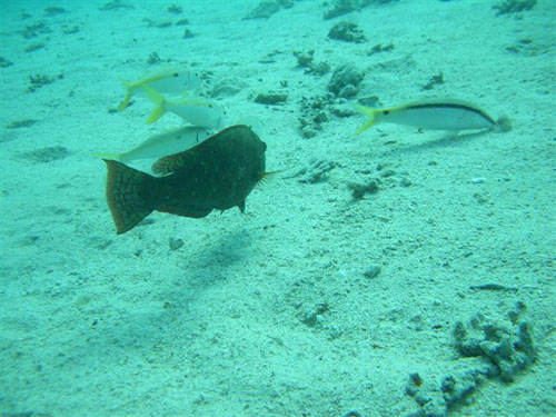 marsa_christoph_14