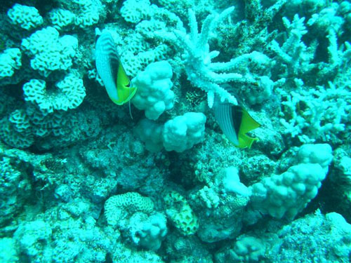 marsa_christoph_15