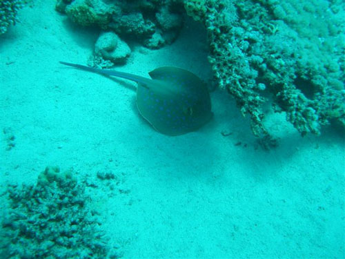 marsa_christoph_16