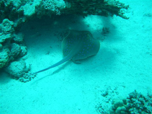 marsa_christoph_17