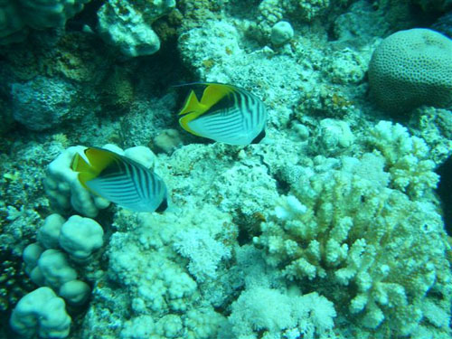 marsa_christoph_20