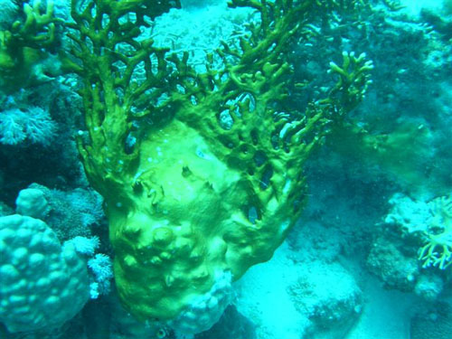 marsa_christoph_22