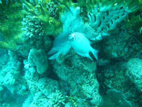 marsa_christoph_23