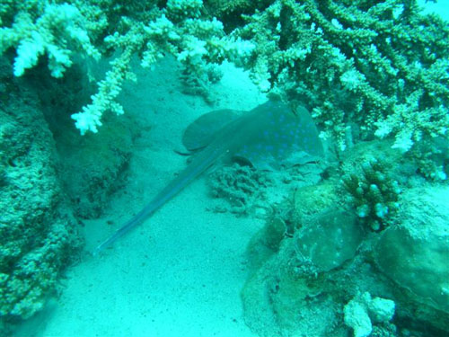 marsa_christoph_27