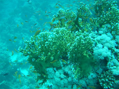 marsa_christoph_28
