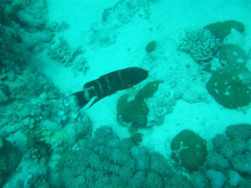 marsa_christoph_29