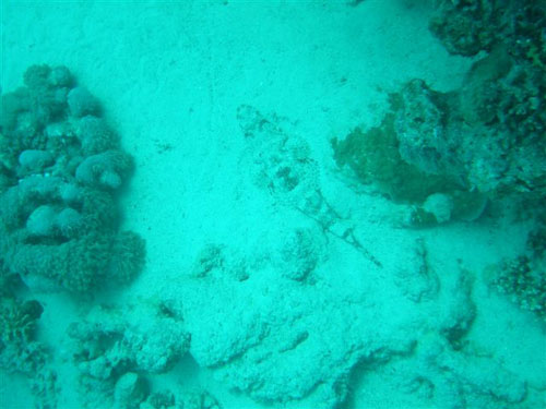 marsa_christoph_30