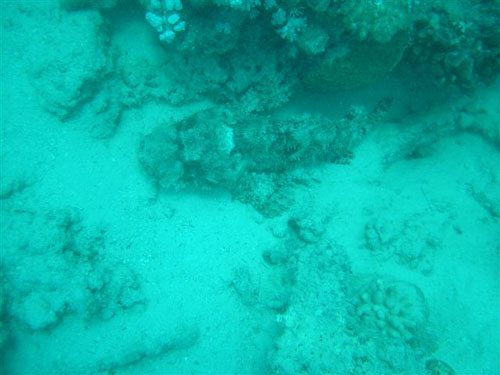 marsa_christoph_31