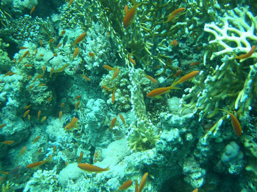 marsa_christoph_33