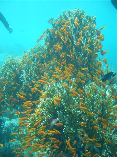 marsa_christoph_35