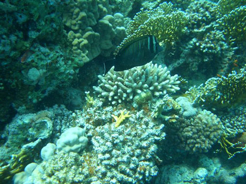 marsa_christoph_38