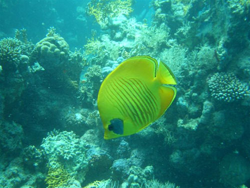 marsa_christoph_39