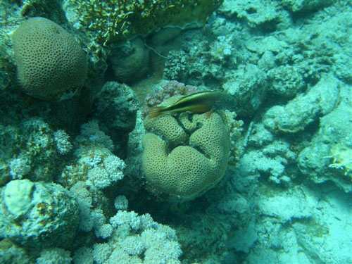 marsa_christoph_40