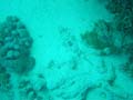 marsa_christoph_30