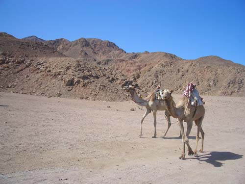 egypt07_057