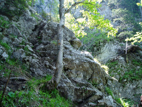 lantsch_006