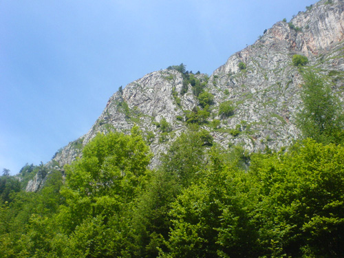 DSC00467