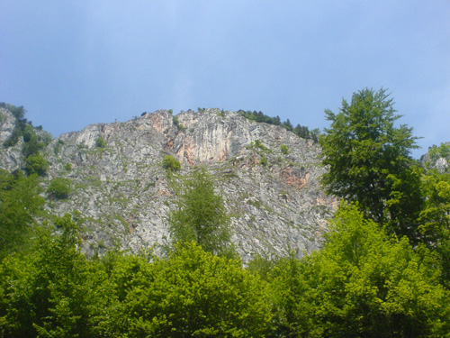 DSC00468