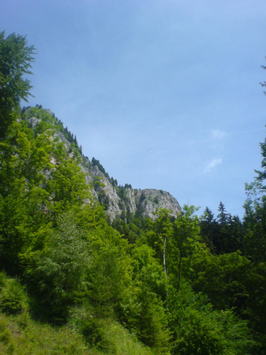 DSC00469