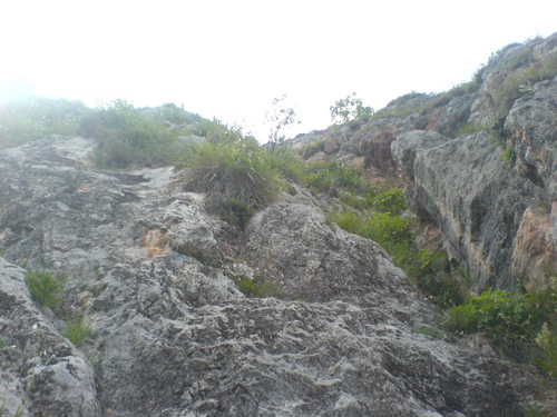 DSC00491