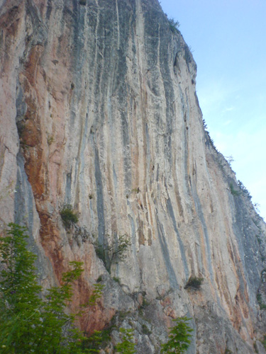 DSC00501