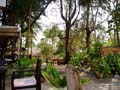 thai_07_050